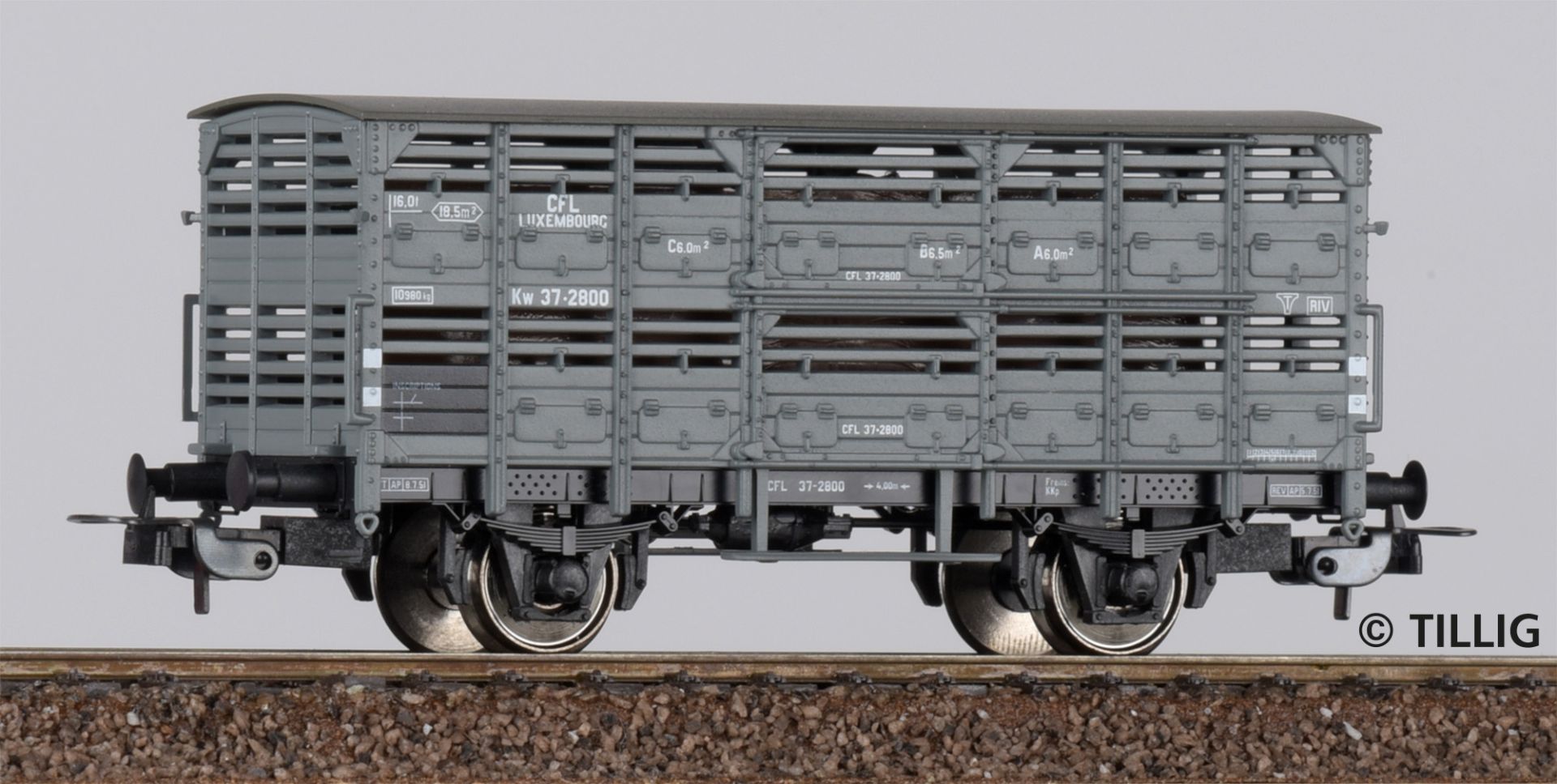 501111-Seite 2